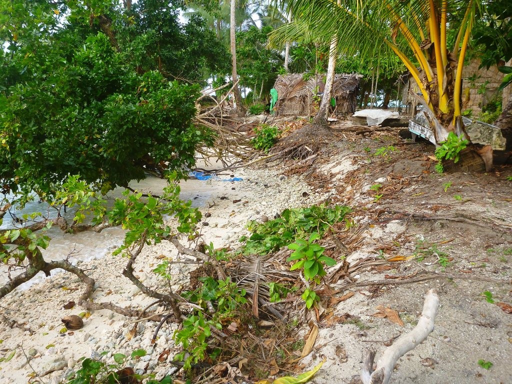 Houses at Tuwo village, where the 1.5m Tsunami hit a few days ago © Chris Bone